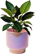 LB Pink Purple Ceramic Planters for Indoor Plants, Succulent Plant Pots Ceramic Plant Pot, Cute Flower Pots for Living Room Office Home Decor, Round Flower Pot of 4.3 Inch(Plant Not Included)