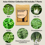 inbloom Herb Seed Pods Kit for AeroGarden, 7-Pods with Basil, Cilantro, Parsley Seed Hydroponic Growing System Kit, Seeds Starter Pod for idoo, Ahopegarden Gardening Supplies