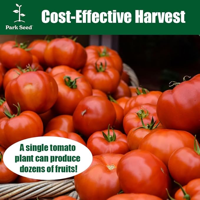 Park Seed Variety of Tomato Seeds, Planting Vegetables, Easy to Grow, Non-GMO, Perfect for Harvesting, Better Bush Hybrid, Pack of 30