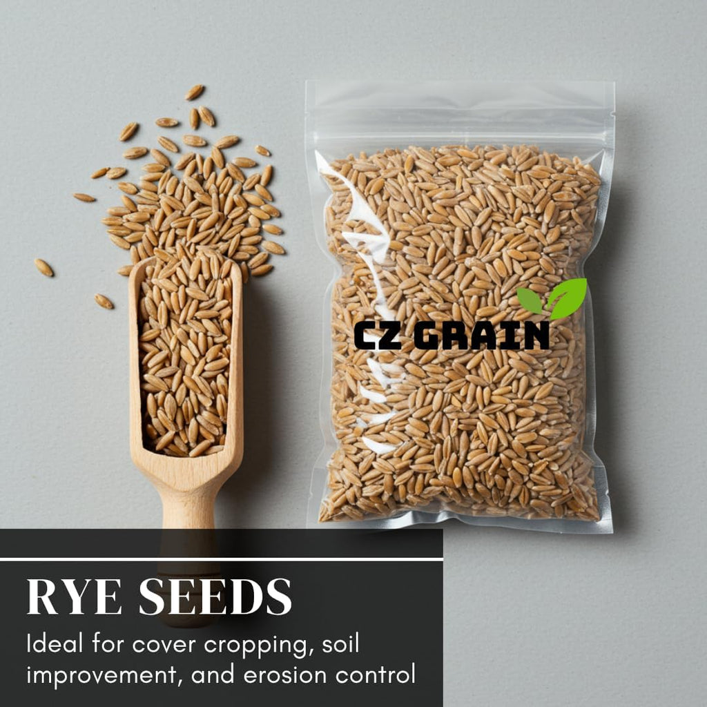 Rye Grass Seed - Fast Growing and Hardy Grass, Cover Crop, Food Plot. Grazing Pasture Seeds (25 Pounds)