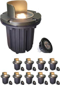MALORY Brass Top Cover Landscape Well Lights,（6‘’H 12V Low Voltage Outdoor In Ground Lights, Anti-Glare Landscape Lighting with 5W 450LM MR16 for Pathway, Driveway (Shield Top, 10-Pack with Bulb)