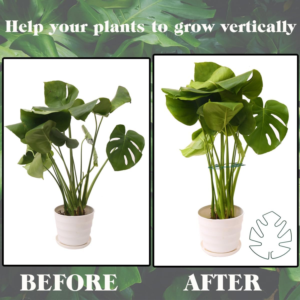 Spiritlele 5 Pcs Green Plant Stem Support Holder Set Monstera Plant Support Clamp Growth Accessories for Indoor Plants Small
