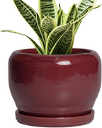 SQOWL 6 Inch Plant Pot - Ceramic Planter for Indoor Plants Outdoor, Round Planter with Drainage Hole and Saucer, Decorative Modern Small Flower Pots, Room Decor, Gifts for Plant Lovers, Red
