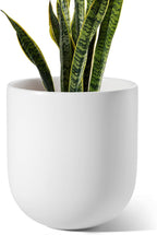 LE TAUCI 10 Inch Plant Pot, Ceramic Pots for Plants with Drainage Hole and Rubber Plug, Plant Pots Indoor for Olive Tree, Cylinder Planter Pot for Home Patio Office, White