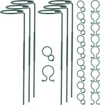 Plant Stake Support - 6 Pack Adjustable Height 16" or 30", Garden Support Stake Plant Cage Support Rings, Single Stem Plant Support Stakes, for Flowers Amaryllis Tomatoes Peony Lily Rose (30inch)