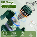 Portable Blender for Smoothies, Freshly Squeezed Juices, Milk shakes and Baby food, 20 oz BPA Free, Suitable for Outdoor Sports, Family, Travel.((green))
