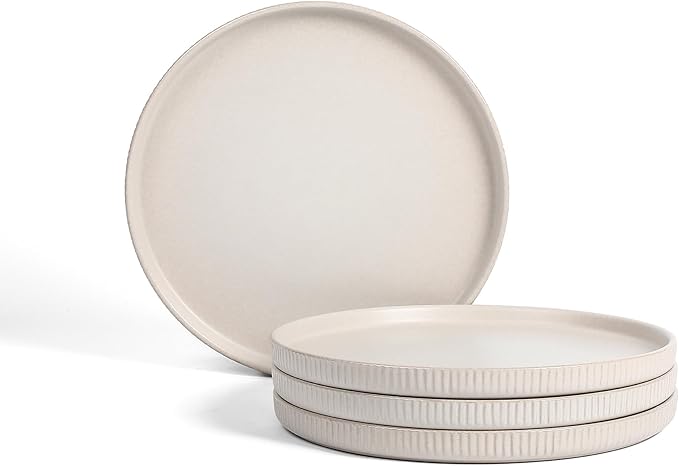 Stone Lain Haven Modern Stoneware 4 Piece Dinner Plates Sets, Dish Set for 4,Reactive Glaze Beige