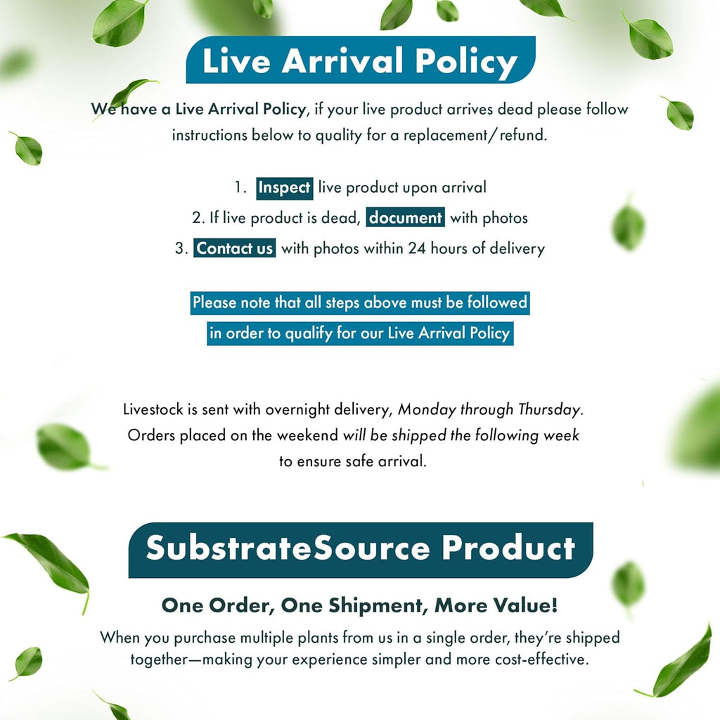 SubstrateSource Anubias Live Aquarium Plants - Potted Freshwater Plant for Fish Tanks, Terrariums - Beginner Friendly Low Light (Barteri Butterfly, 1 Pot)