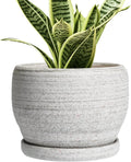 SQOWL Ceramic Planters for Indoor Plants - 6 Inch Plant Pot with Drainage Hole and Saucer, Small Ceramic Flower Pot, Round Decorative Planter Outdoor, Living Room Decor, Garden Gifts for Women, Gray