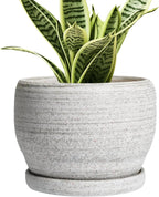 SQOWL Ceramic Planters for Indoor Plants - 6 Inch Plant Pot with Drainage Hole and Saucer, Small Ceramic Flower Pot, Round Decorative Planter Outdoor, Living Room Decor, Garden Gifts for Women, Gray