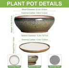 SQOWL Bonsai Pots Small - 6 Inch Ceramic Succulent Pots with Drainage Hole and Saucer, Shallow Round Planter for Indoor Plants Outdoor, Ceramic Cactus Planter, Patio Decor, Housewarming Gift, Brown