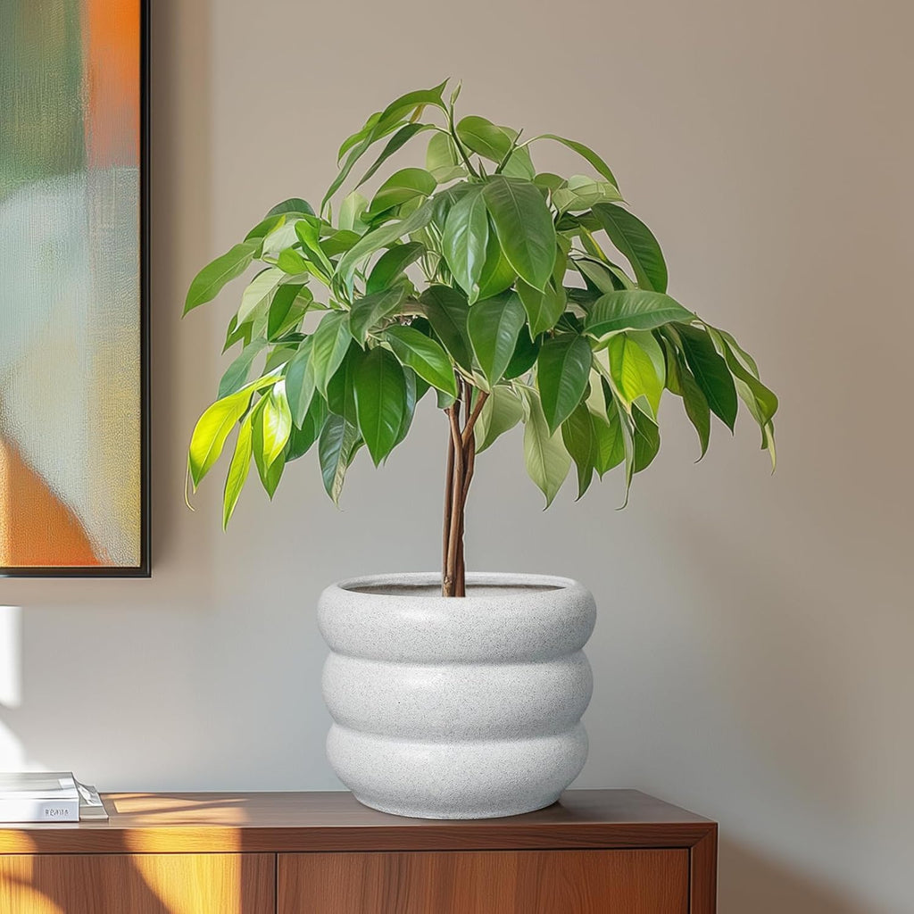 SQOWL Ceramic Planter for Indoor Plants - 8 Inch Plant Pot with Drainage Hole Outdoor Flower Pot Modern Round Planter Medium Plant Pot for Garden Office Decor White