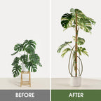 Moss Pole, 63 Inch Bendable Moss Pole for Plants Monstera, Moss Poles for Climbing Plants, Handmade Coco Coir Pole Plant Sticks Support Plant Stakes for Indoor Plants to Grow Upwards