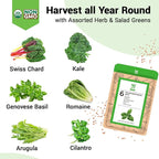 Herb & Salad Greens Seed Pods for All Hydroponics Growing Systems, 8 Pods with 600+ Seeds of Basil, Cilantro, Romaine, Kale, Arugula and Swiss Chard