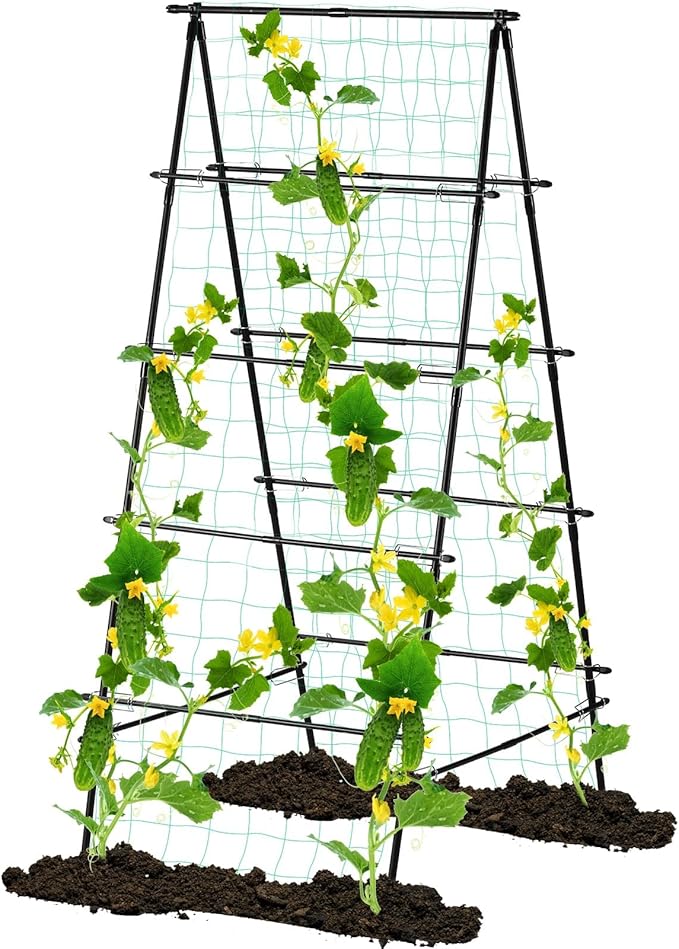 Garden Trellis for Climbing Plants, 71" H x 32" W Metal A-Frame Cucumber Trellis Outdoor Fruits Watermelon Plants Vegetable Tomato Squash Peas Beans, with Netting, Black
