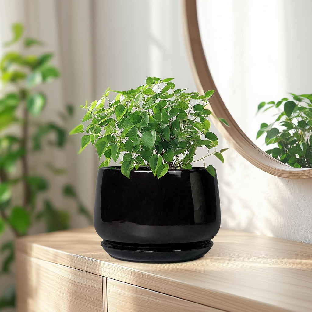 G EPGardening Ceramic Planter 7 Inch - Ceramic Pot for Plants with Drainage and Saucer, Round Plant Pots, Modern Indoor Outdoor Planter, Home Decor, Garden Gifts, Black