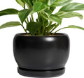 SQOWL Ceramic Plant Pots - 8 Inch Planter Indoor, Round Flower Pot with Drainage Hole and Saucer, Modern Outdoor Planter, Apartment Decor, Gifts for Plant Lovers, Black