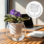 4 Pcs Self Watering Pots for Indoor Plants with Drainage Holes 6 Inch Clear African Violet Pots Pet Automatic-Watering Planter with Wick Rope for Windowsill Gardens Herb Orchid