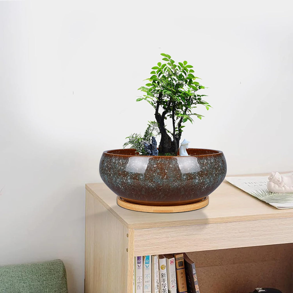 8 Inch Ceramic Bonsai Planter Pot, Glazed Shallow Succulent Planter with Drainage Hole and Bamboo Saucer for Indoor Plants, Green