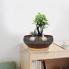 8 Inch Ceramic Bonsai Planter Pot, Glazed Shallow Succulent Planter with Drainage Hole and Bamboo Saucer for Indoor Plants, Green