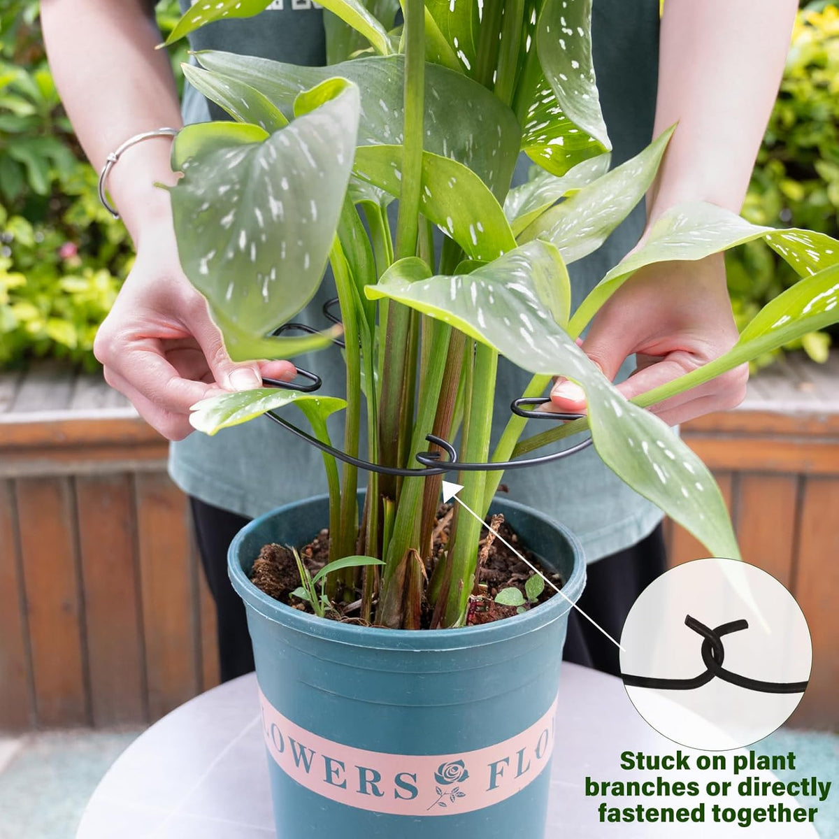 5PCS Monstera Plant Stem Support -7.3*6.25IN Adjustable Metal Stake for Climbing Plants, Durable Garden Support with Gentle Grips, Ideal for Indoor & Outdoor Use, Ideal Gift for Plant Lovers