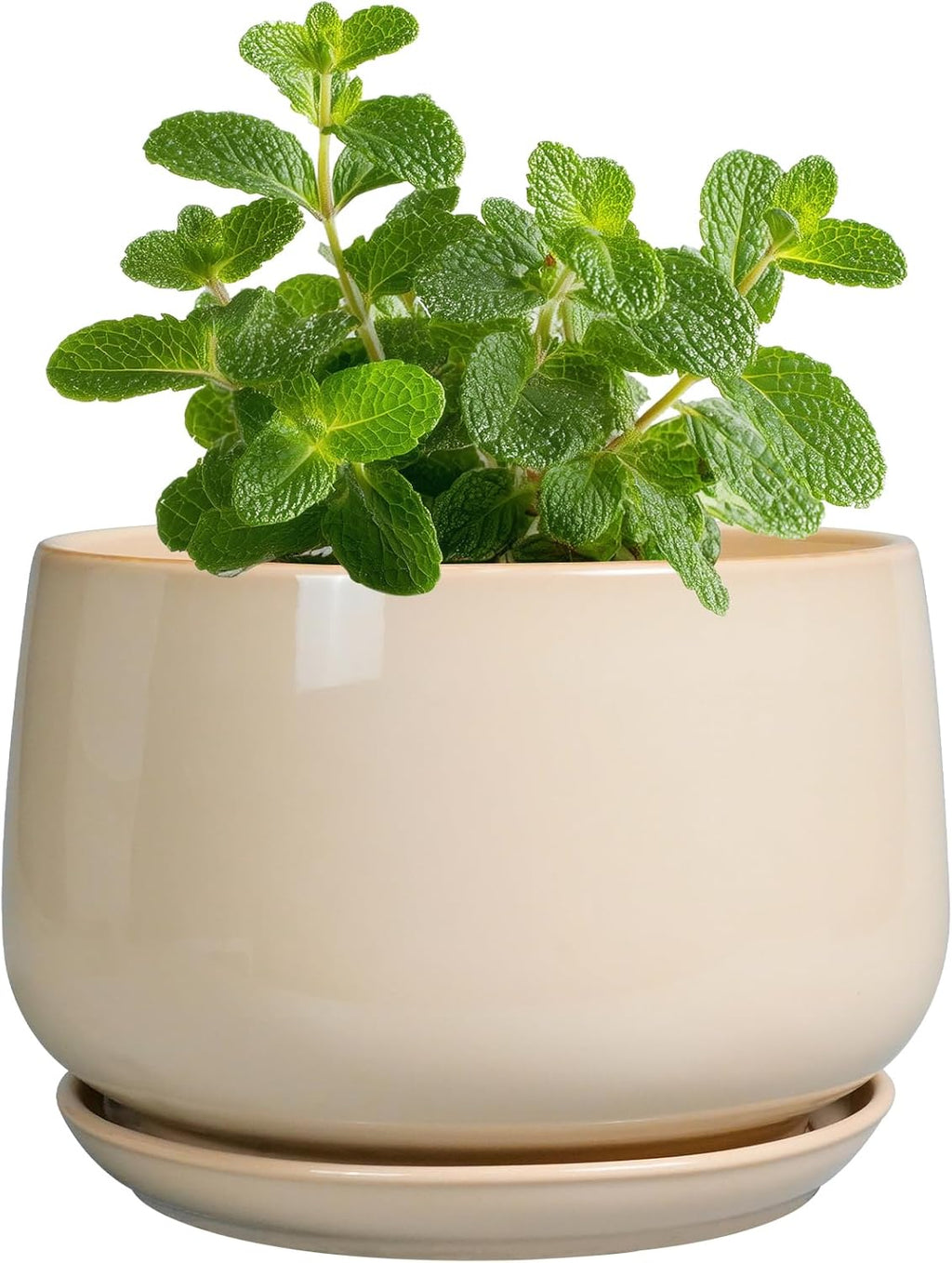 G EPGardening 4 inch Plant Pots - Ceramic Planter with Drainage Hole & Saucer, Small Plant Pots for Indoor Outdoor, Round Succulent Pot, Modern Decorative Flower Pot, Desk Decor, Garden Gifts, Beige