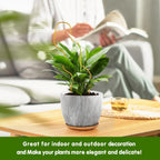 13.4 Inch Indoor Plant Trellis for Climbing Plants,Metal Trellis,Small Garden Trellis for Potted Plants,Plant Stakes for Indoor Plants Accessories Hoya,Flower,Plant Support (Wave-Metal)