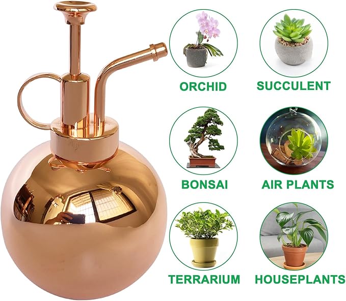 Stainless Steel Plant Sprayer, Small Watering Can Plant Misting Bottle, Modern Gardening Tools for Indoor Potted Plants Watering and Misting