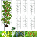 6 Packs Tomato Cages for Garden, 12"×12"×48" Plant Support Cage with Different Spacing, Green Metal Trellis for Climbing Plants Like Cucumber, Flowers