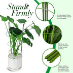 LEOBRO Tomato Cage, 2 PCS Plant Support Cage Rust Resistant Garden Ring Stake Plant Support for Tomato, Trellis, Climbing Plant, Flower, Small Plant Cages for Small Plants,17.7" H