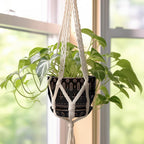 G EPGardening Ceramic Pot for Plants 5.5 Inch - Ceramic Plant Pot Indoor with Drainage Hole and Saucer, Round Boho Planter for Indoor Plants Outdoor, Housewarming Gifts, Garden Office Decor, Black