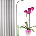 uxcell 30pcs Green Plant Support Stakes, 15.7" Bendable Garden Plant Sticks Plastic Single Stem Plants Support Stakes with Ties for Potted Plants Flowers Orchid Peony, Brown