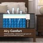 California King Mattress 10 Inch,Lechepus 5-Zone Medium Firm Mattress with Lumbar & Shoulder Support, Hybrid for Pressure Relief ,Edge Support & Motion Isolation, Fiberglass Free & CertiPUR-US