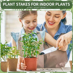 Moiggonoy 12 Pack Plant Support Stakes Sets - Versatile Plant Cages, Stackable Garden Flower Support， Small Plant Stakes for Indoor Plants,Tomato,Monstera, Peony, Hydrangea, Climbing Plants