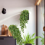 Hollyone Artificial Hanging Plants 35.4" Fake Ivy Vine Faux Ivy Leaves Fire and UV Resistant Hanging Plant Wall Greenery for House Room Patio Indoor Outdoor Home Shelf Office Wedding Decor