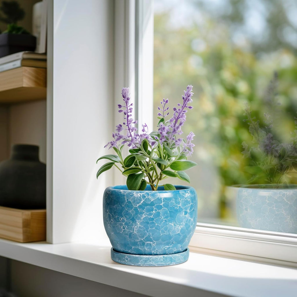 SQOWL 6 Inch Plant Pot - Ceramic Indoor Planter with Drainage Hole and Saucer, Decorative Ceramic Flower Pot Outdoor, Round Succulent Planter, Home Office Room Decor, Gifts for Plant Lovers, Blue