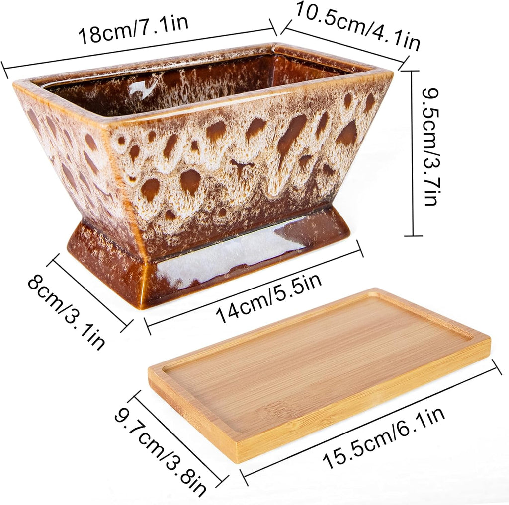 ARTKETTY Succulent Pots - 7 Inch Large Plant Pot with Drainage Tray, Shallow Ceramic Pots for Indoor Plants, Modern Cactus Bonsai Plant Container Decorative Home Office
