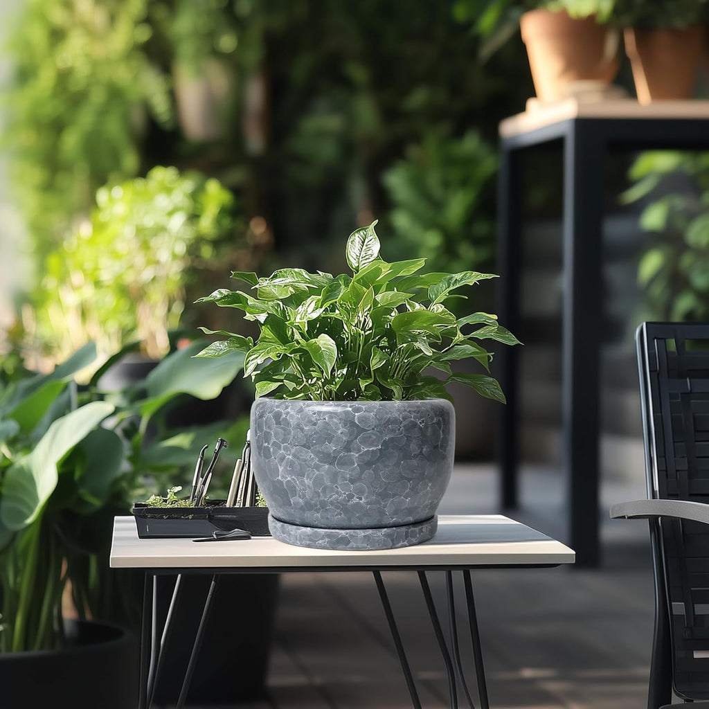SQOWL 8 inch Plant pots Indoor - Ceramic Planter with Drainage Hole and Plant Saucer, Decorative Ceramic Flower Pot Outdoor, Modern Round Planter, Patio Porch Garden Decor, Garden Gifts, Gray