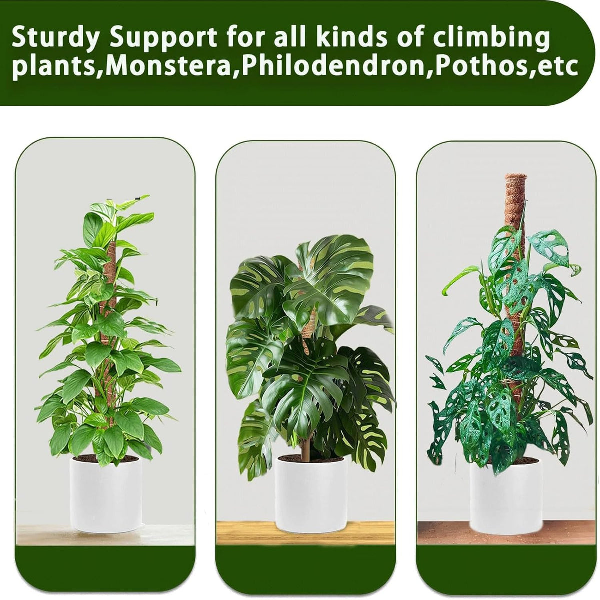 Moss Pole, 2Pack 21 Inch Plant Support Stakes for Indoor Plants, Monstera Plant Support Stakes, 37 Inch Tall Coir Plant Pole Sticks for Potted Plants, Pothos, Philodendron