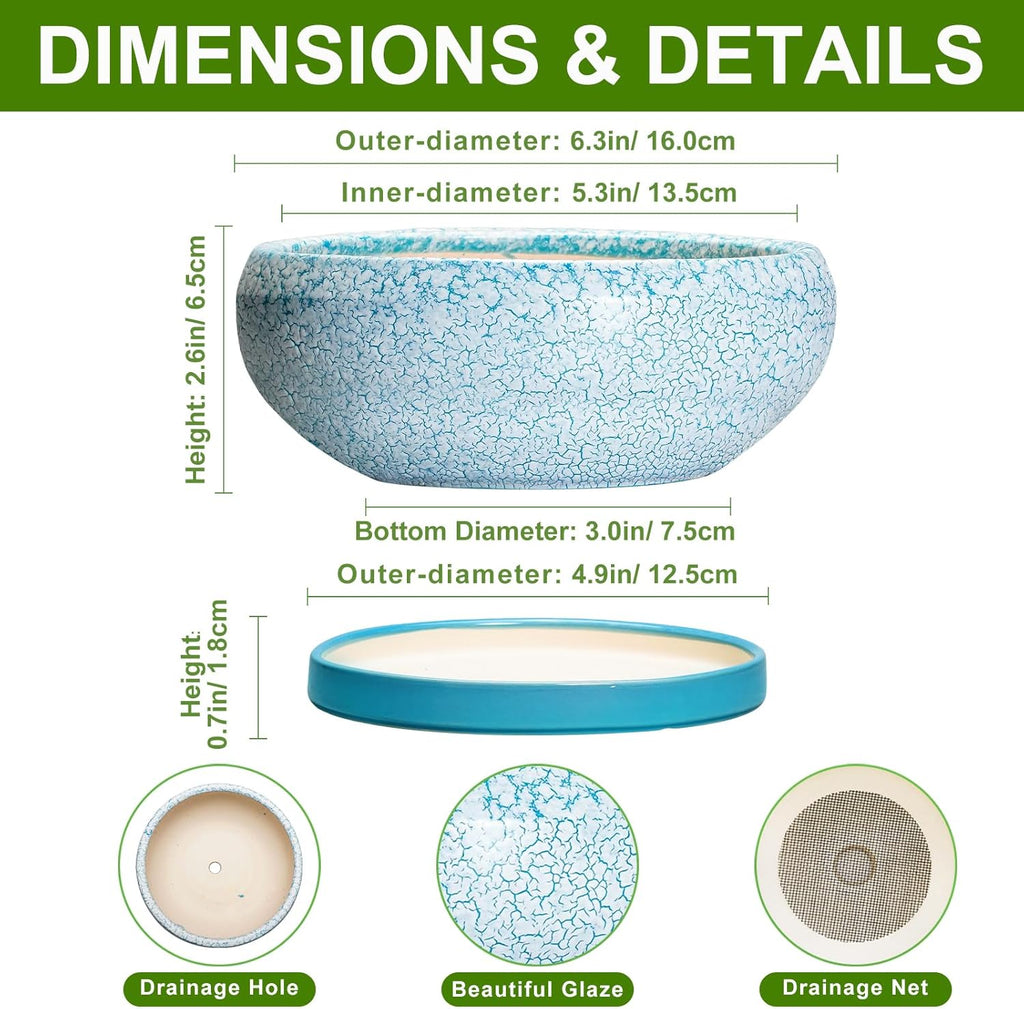 Bonsai Pots Small - 6 Inch Succulent Pots with Drainage Hole and Saucer, Succulent Planters for Indoor Outdoor, Shallow Plant Pot, Round Bonsai Planter, Office Decor, Plant Lover Gifts, Blue