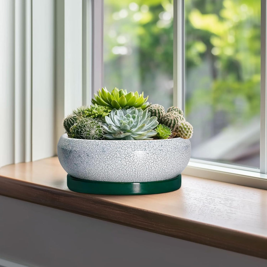 Succulent Planters 10 Inch - Ceramic Bonsai Pots with Drainage Hole and Saucer, Large Succulent Pots Indoor, Shallow Planter, Round Bowl Planter Outdoor, Patio Decor, Plant Lover Gift, Green