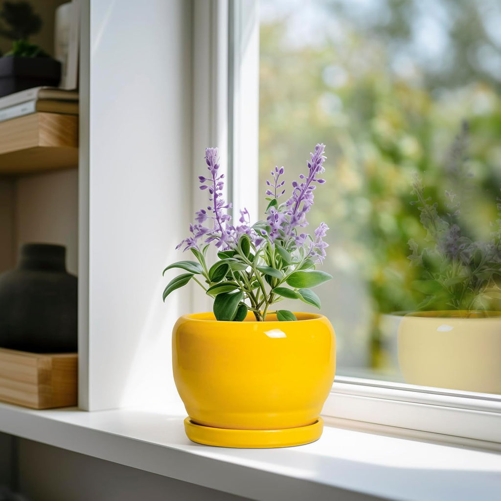 SQOWL 6 Inch Plant Pot - Ceramic Planter with Drainage Hole and Saucer, Modern Ceramic Flower Pots for Indoor Plants Outdoor, Round Decorative Small Planter, Desk Decor, Garden Gifts, Yellow