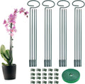 4 Set Metal Plant Sticks Support Tall 48 Inch Adjustable Plants Stem Support Rod Amaryllis Holder Stake Garden Flower Rings with 20PCS Clips 16.5' Plant Ties for Outdoor Indoor Plants