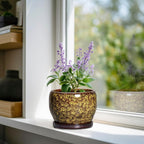 SQOWL 6 Inch Plant Pot - Ceramic Flower Pots with Drainage Hole and Saucer, Ceramic Planter for Indoor Plants Outdoor, Round Decorative Small Planter, Table Desk Decor, Housewarming Gifts, Yellow