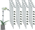 20 Pack Plant Support Stakes with 24 Pcs Plant Clips, Garden Single Stem Support Stake, Plant Cage Support Ring for Indoor Outdoor Flowers Rose Amaryllis Tomatoes Peony Lily Orchid (24 Inch)