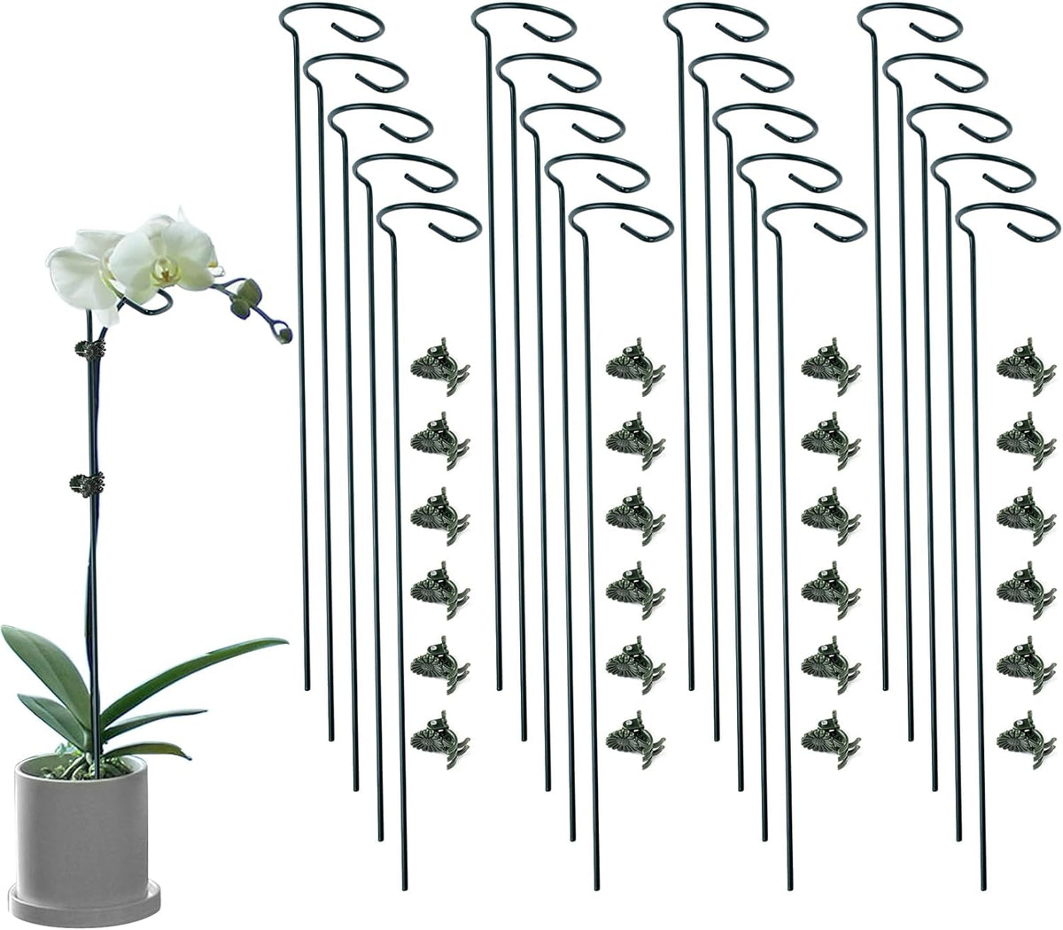 20 Pack Plant Support Stakes with 24 Pcs Plant Clips, Garden Single Stem Support Stake, Plant Cage Support Ring for Indoor Outdoor Flowers Rose Amaryllis Tomatoes Peony Lily Orchid (24 Inch)