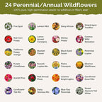 Eden Brothers North Carolina Wildflower Mixed Seeds for Planting, 1/4 lb, 120,000+ Seeds with Cornflower, African Daisy | Attracts Pollinators, Plant in Spring or Fall, Zones 3, 4, 5, 6, 7, 8, 9, 10
