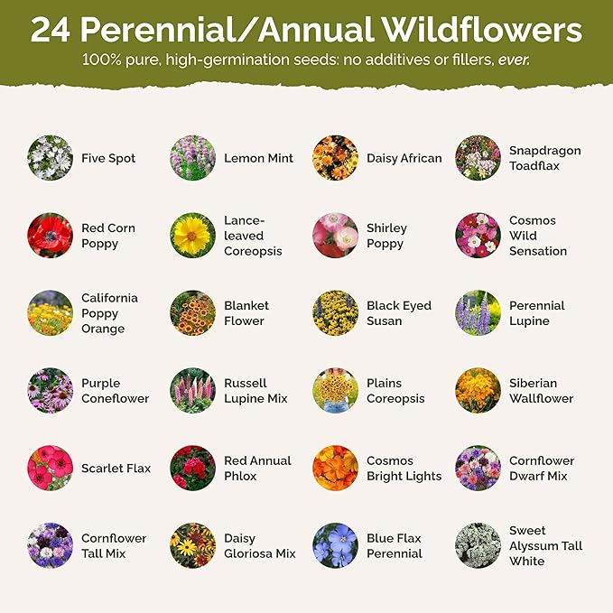 Eden Brothers Georgia Wildflower Mixed Seeds for Planting, 1 oz, 30,000+ Seeds with Cornflower, Cosmos, African Daisy | Attracts Pollinators, Plant in Spring or Fall, Zones 3, 4, 5, 6, 7, 8, 9, 10