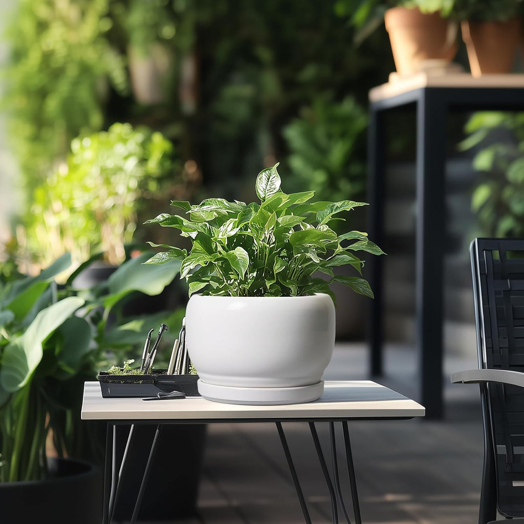 SQOWL Ceramic Planters for Indoor Plants - 8 Inch Plants Pot, Round Outdoor Flower Pot with Drainage Hole and Saucer, Decorative Modern Planter, Kitchen Decor, House Gifts, White