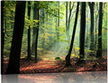 Nature Wall Art Large Forest Art Canvas Wall Decor Green Tree Canvas Print Artwork Decor for Living Room Mountain Wall Art Landscape Pictures for Bedroom Home Office Decorations (32x48inches)